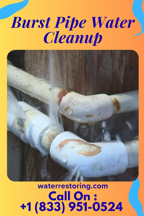 Burst Pipe Water Cleanup in Sharpsville, IN