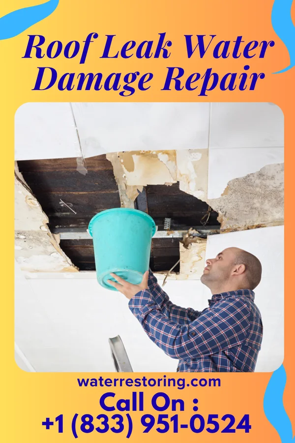 Roof Leak Water Damage Repair in Sharpsville, IN