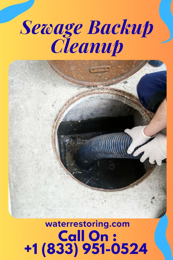 Sewage Backup Cleanup in Sharpsville, IN